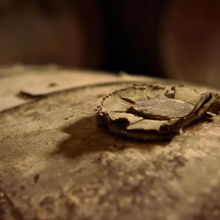 Domaine D' Arcalis Bed & Breakfast Archiac