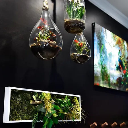 Bed & Breakfast Domaine D' Arcalis Archiac