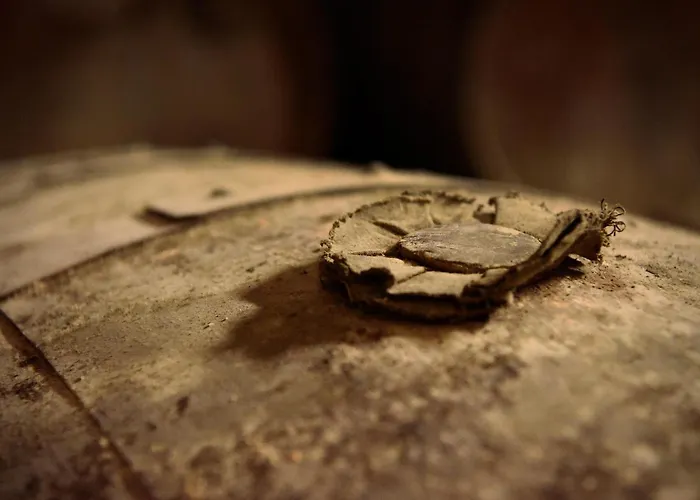 Domaine D' Arcalis Bed and breakfast Archiac