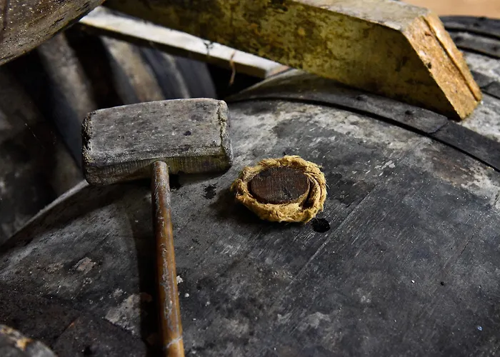 Bed and breakfast Domaine D' Arcalis 3*